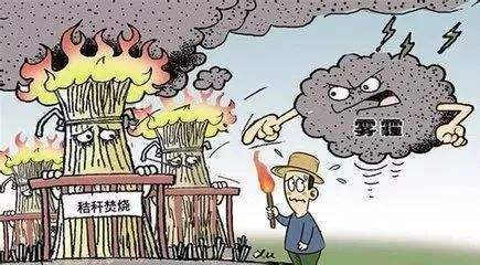 秸秆焚烧产生危害