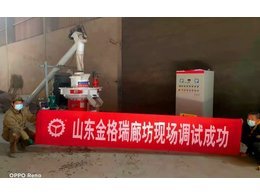 廊坊秸秆颗粒机开启高光时刻