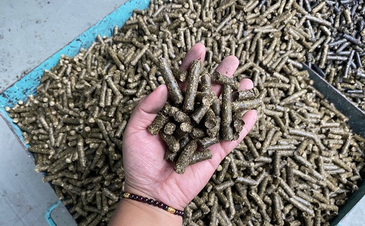 农作物秸秆颗粒机加工的颗粒燃料