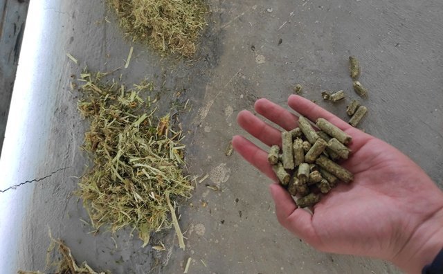 柠条颗粒机生物质燃料