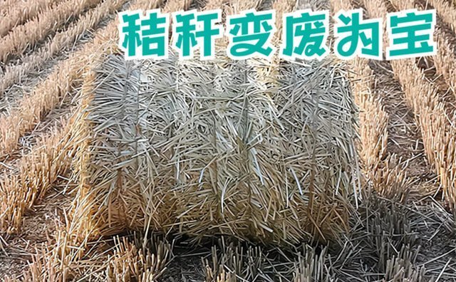 秸秆变废为宝 上海拓展秸秆资源化利用新途径