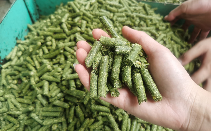 秸秆颗粒机加工的牧草颗粒
