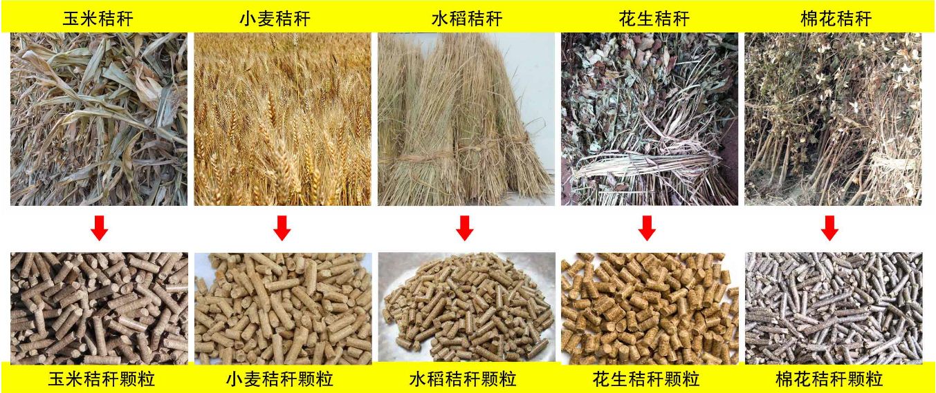 玉米秸秆、小麦秸秆等原材料