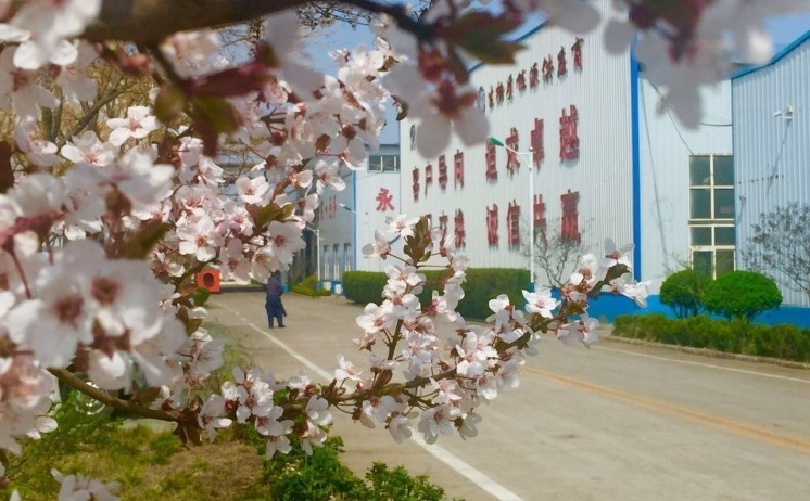 山东金格瑞的厂区一角美景